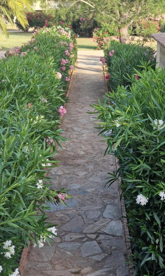 Fiori Di Cala Rossa *